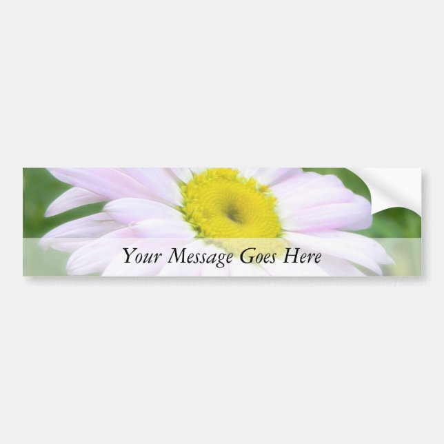 Pale Pink Painted Daisy Bumper Sticker (Front)