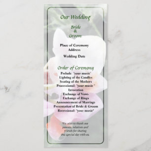 Pale Pink Phalaenopsis Orchids Wedding Program