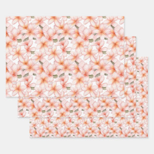 Pale Pink Plumeria Frangipani Flower Wrapping Paper Sheet
