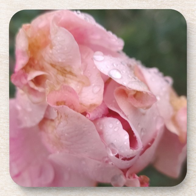 Pale Pink Rose Coaster (Front)