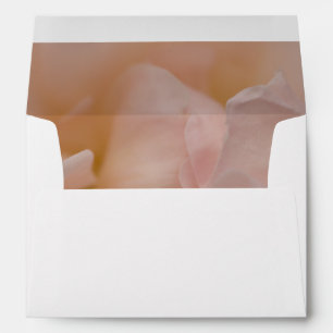 Pale Pink Rose Floral Envelopes