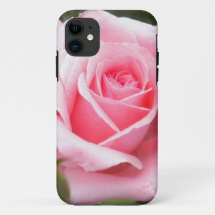 Pale Pink Rose iPhone 5 case