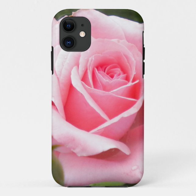 Pale Pink Rose iPhone 5 case (Back)
