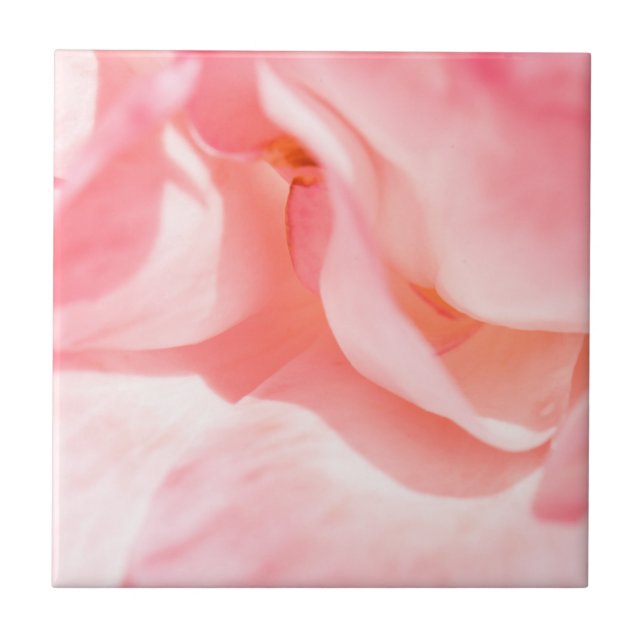 Pale pink Rose Petals Ceramic Tile (Front)