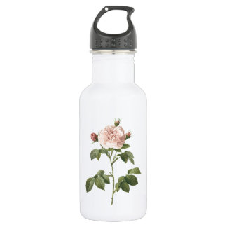 pale pink rose (Rosa alba regalis) by Redouté 532 Ml Water Bottle