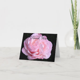 Pale Pink Rose Thank You Note Card