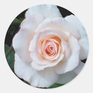 Pale Pink Rosebud on Black Background Classic Round Sticker