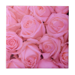 Pale pink roses ceramic tile