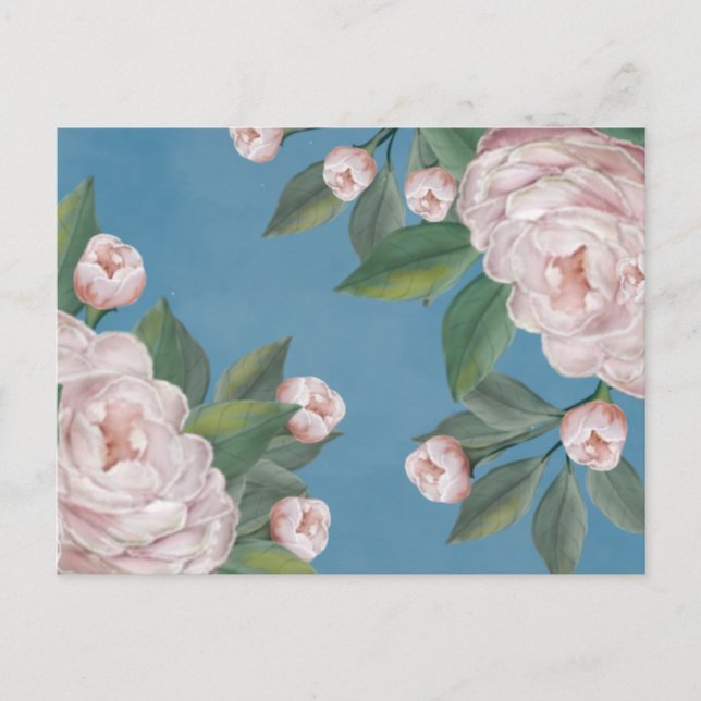 Pale Pink Roses with Navy Blue Background  Postcard (Front)