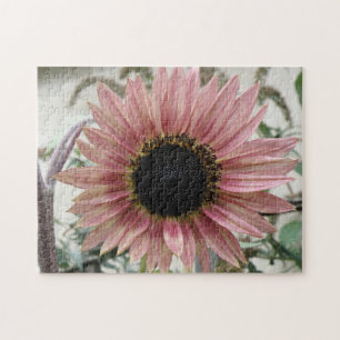 Pale Pink Sunflower Jigsaw Puzzle