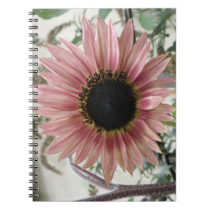 Pale Pink Sunflower Notebook