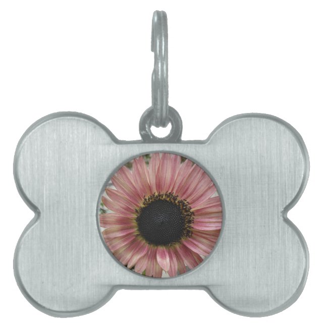 Pale Pink Sunflower Pet ID Tag (Front)
