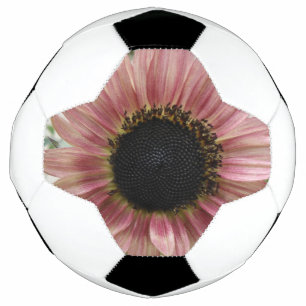 Pale Pink Sunflower Soccer Ball