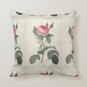 Pale pink vintage roses painting cushion
