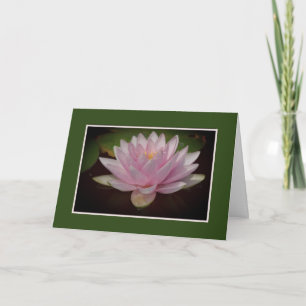 PALE-PINK WATER LILY/BLANK INSIDE CARD