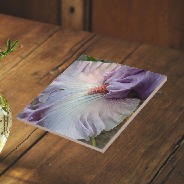 Pale Purple Bearded Iris Floral Ceramic Tile (In Situ)