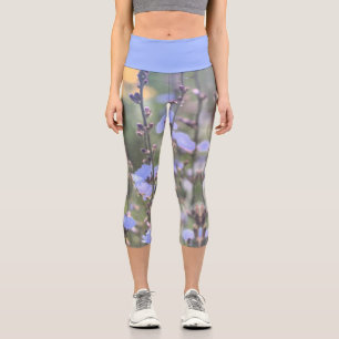 Pale Purple Blue Chicory Plant Flowers Capri Leggings