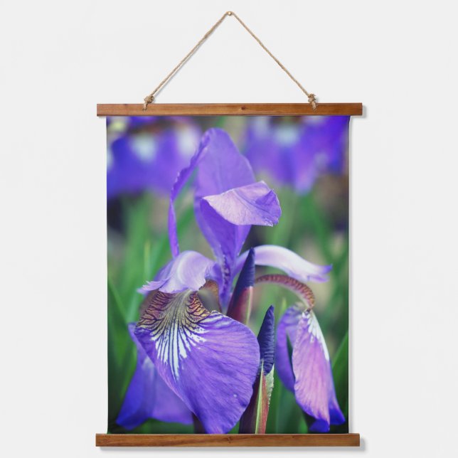 Pale Purple Blue Flag Iris Flower  Hanging Tapestry (Front)