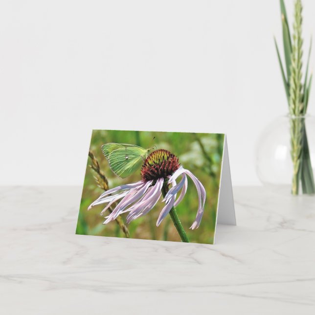 Pale Purple Coneflower  Note Card (Front)