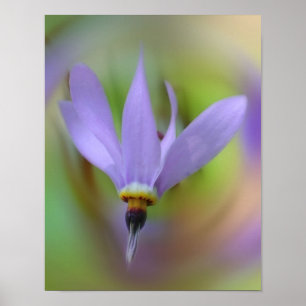 Pale Purple Flower Close Up  Poster