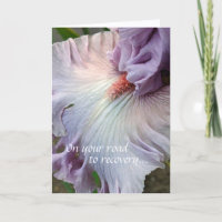 Pale Purple Iris Floral Get Well