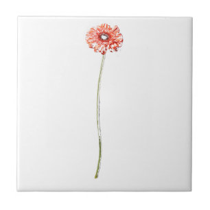 Pale Red Gerbera Flower Ceramic Tile