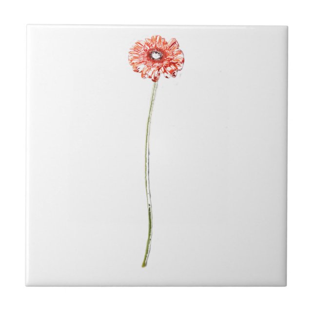 Pale Red Gerbera Flower Ceramic Tile (Front)