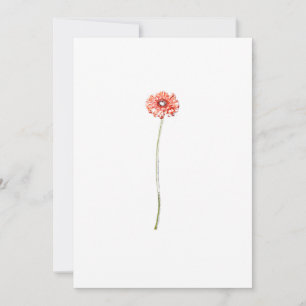 Pale Red Gerbera Flower Invitation Card