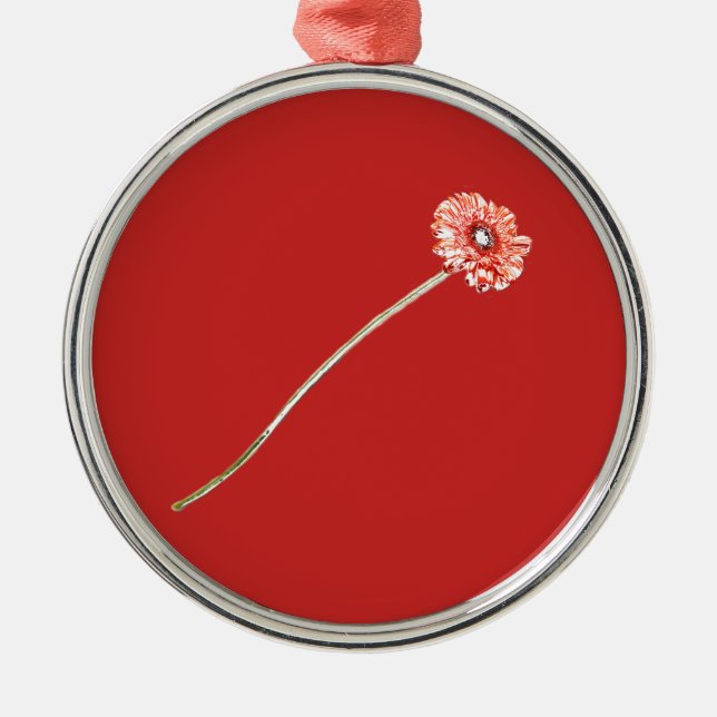 Pale Red Gerbera Flower Metal Ornament (Front)