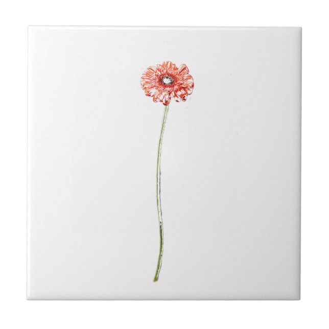 Pale Red Pink Gerbera Flower Sketch Ceramic Tile (Front)