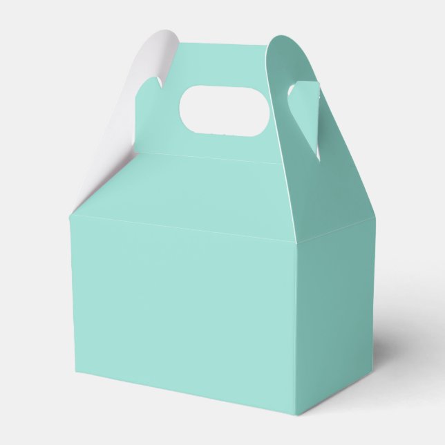 Pale Robin Egg Blue Solid Colour Favour Box (Front Side)