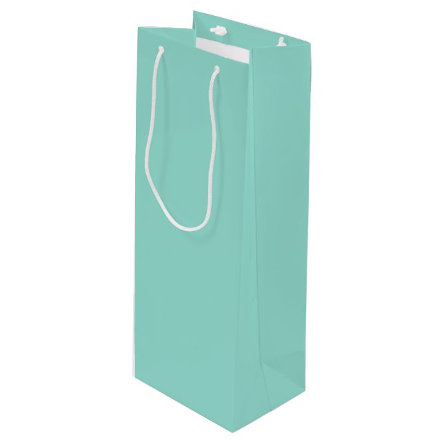 Pale Robin Egg Blue Solid Colour Wine Gift Bag (Front Angled)