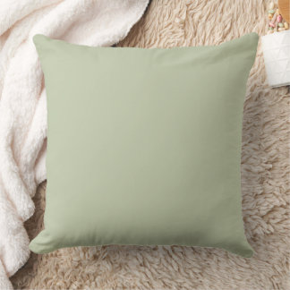 Pale Sage Green Solid Cushion