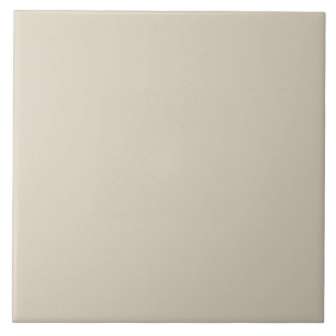 Pale Taupe Ceramic Tile. Ceramic Tile