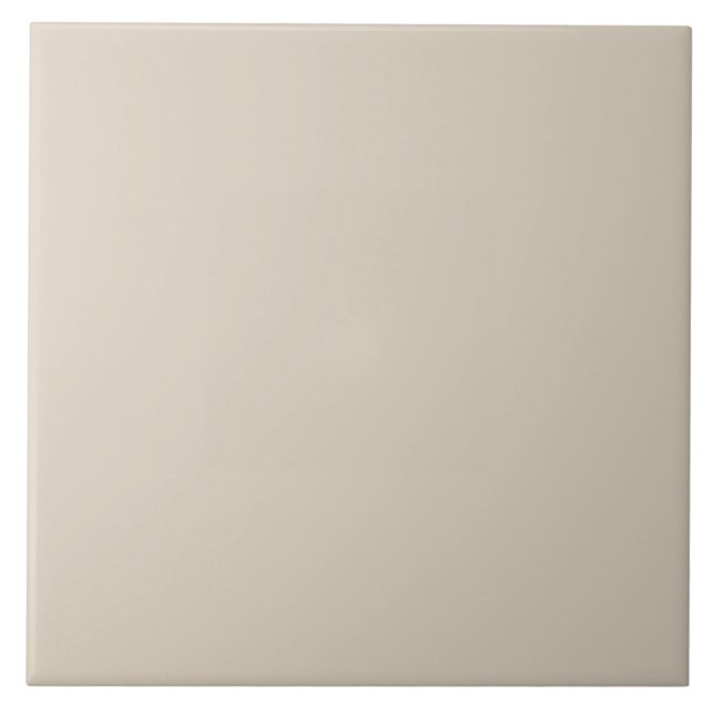 Pale Taupe Ceramic Tile. Tile (Front)