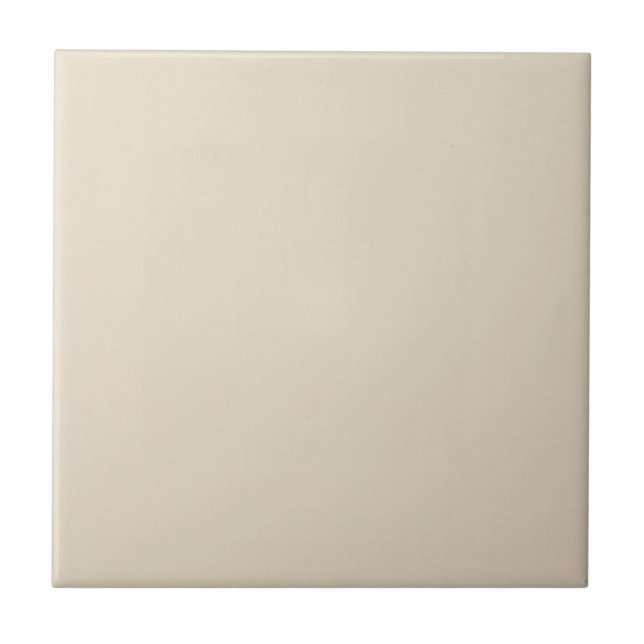 Pale Taupe Solid Ceramic Tile (Front)
