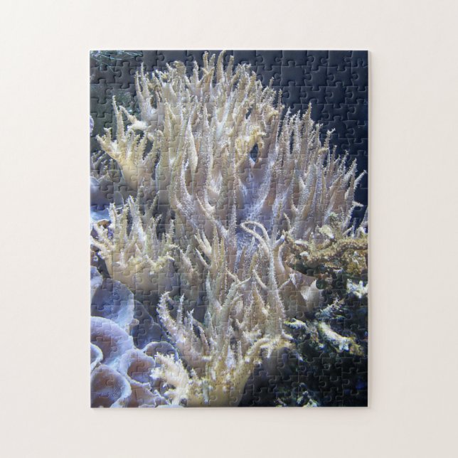 Pale White Living Coral in Dark Ocean Water Jigsaw Puzzle (Vertical)