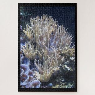 Pale White Living Coral in Dark Ocean Water Jigsaw Puzzle