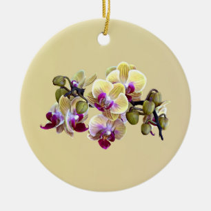 Pale Yellow and Magenta Phalaenopsis Orchids Ceramic Ornament
