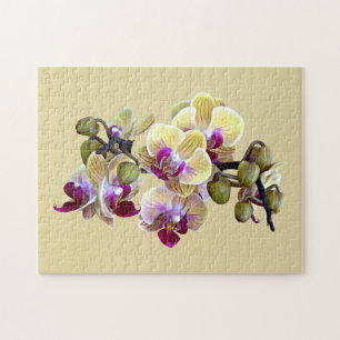 Pale Yellow and Magenta Phalaenopsis Orchids Jigsaw Puzzle