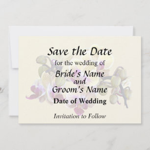 Pale Yellow and Magenta Phalaenopsis Orchids Save The Date