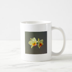 Pale Yellow Cattleya Orchids Coffee Mug