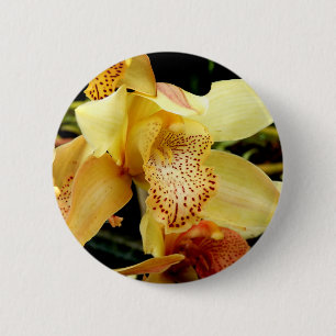 Pale Yellow Cymbidium Orchid Badge