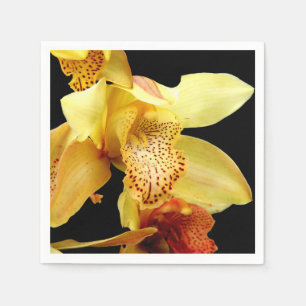 Pale Yellow Cymbidium Orchid Paper Napkins
