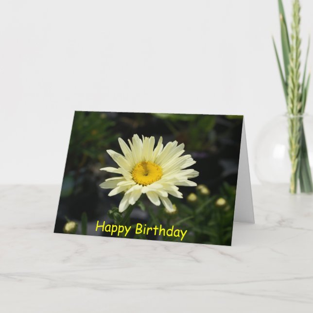 Pale Yellow Daisy, Happy Birthday Card (Front)