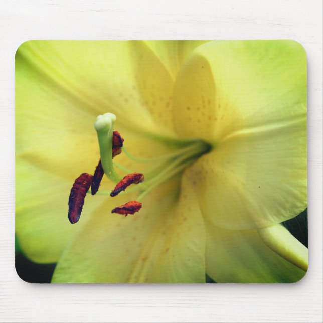 Pale Yellow Lily Flower Up Close Mouse Pad (Front)