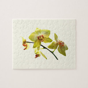 Pale Yellow Orchids Jigsaw Puzzle