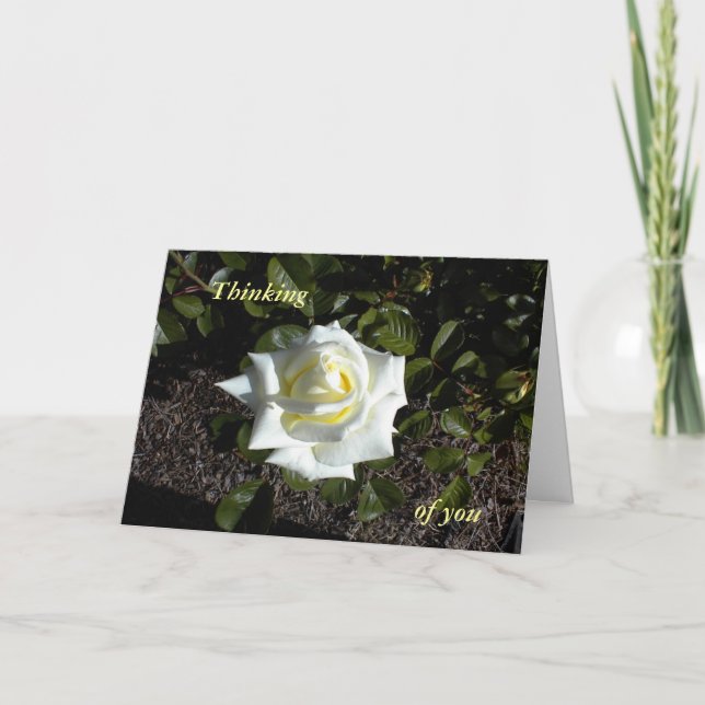 Pale Yellow Rose:  Thinking, of you Card (Front)