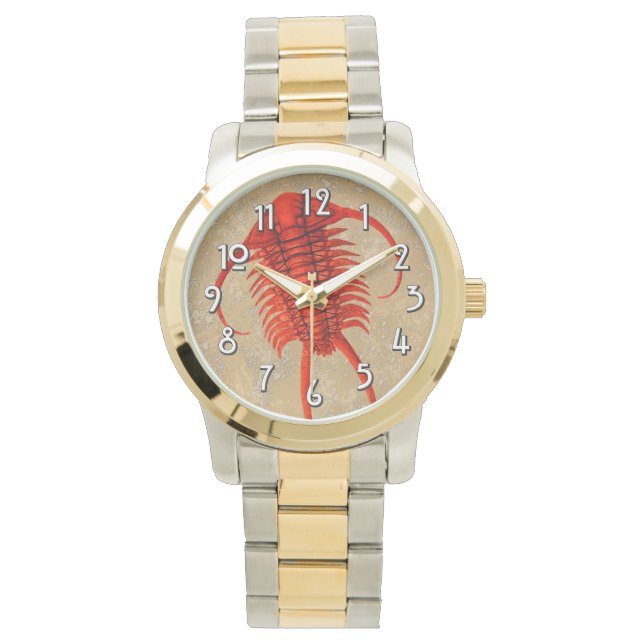 "Paleo-chic" Paraceraurus Fossil Trilobite Watch (Front)