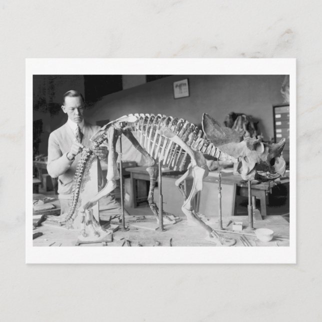 Paleontology Scientist Baby Dinosaur Vintage Postcard (Front)